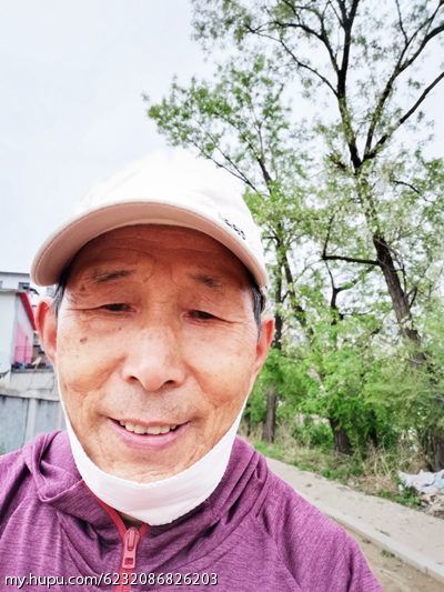 佛山市镓友电子 第279页