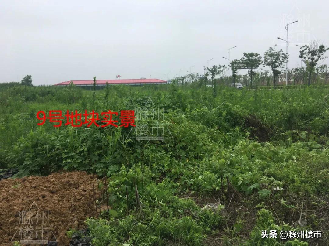 透明LED显示屏 第136页